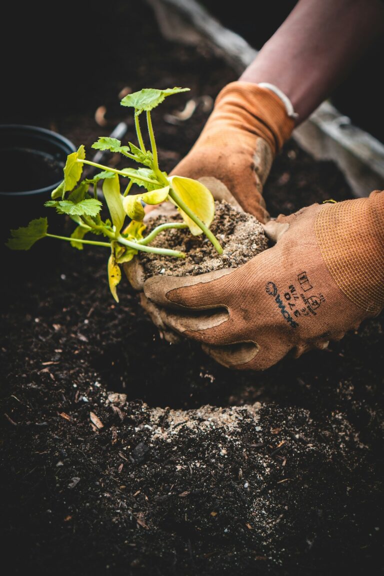 Gardening with Kids: A Fun Family Activity